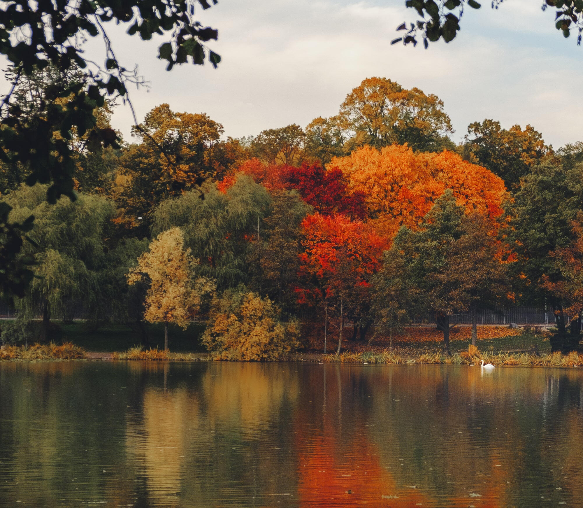 Mother's lake (Lötsjön) lotsjon-autumn-colors-fine-art-decorative-wall-print-sundbyberg-nature-lake-scenery